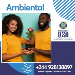 Curso de Auditoria Ambiental